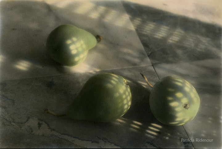 Patricia Ridenour_Washington Arts Commission Collection_Pears
