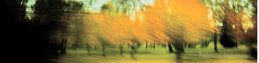 Patricia Ridenour_Landscape photography_on the road_traveling by train