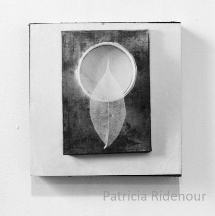 Patricia Ridenour_Nature_Constructions